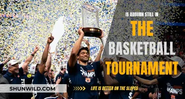 Auburn's Basketball Tournament: Who's Still Standing?