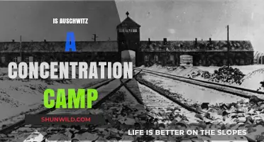 Auschwitz: Understanding Its Role as a Concentration Camp