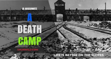 Auschwitz: Unveiling the Truth About Its Role as a Death Camp