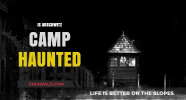 Is Auschwitz Camp Haunted? Exploring the Eerie Legends and Truth