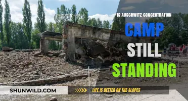 Auschwitz Concentration Camp: Preserved Ruins and Enduring Legacy Today