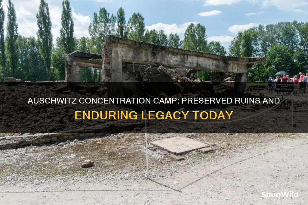 is auschwitz concentration camp still standing