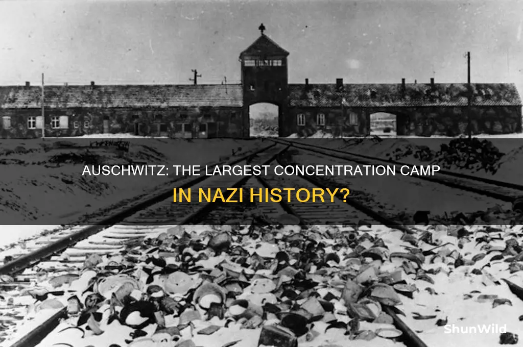 is auschwitz the biggest concentration camp