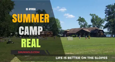 Is Ayusa Summer Camp Legitimate? Uncovering the Truth Behind the Program