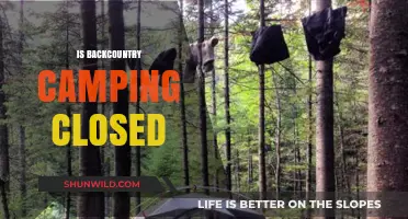 Is Backcountry Camping Closed? Current Status and Updates for Adventurers