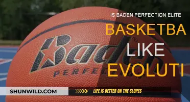 Baden Perfection Elite: Evolution of Basketball Excellence