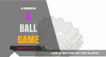 Badminton: Ball Game or Not?