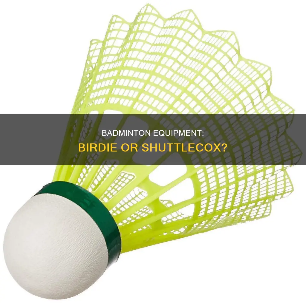 is badminton a birxie or a shuttlecox