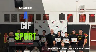 Badminton's CIF Status: What You Need to Know