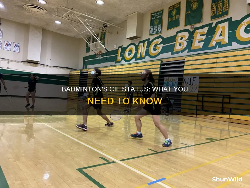 is badminton a cif sport