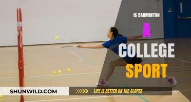 Badminton in College: Is It a Sport?