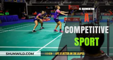 Badminton: Competitive Sport or Leisure Activity?
