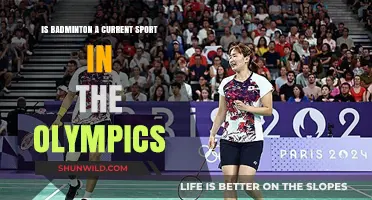 Badminton's Olympic Status: A Current Sport?