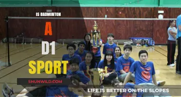 Badminton's Division 1 Status: What's the Deal?