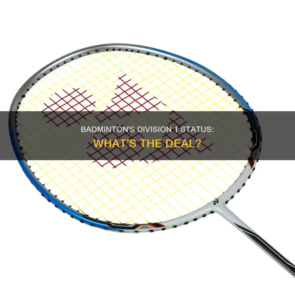 is badminton a d1 sport