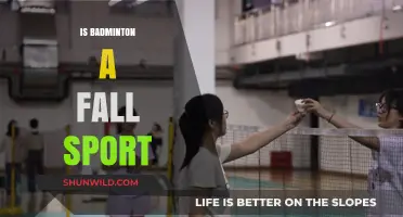 Badminton: A Sport for the Fall Season?