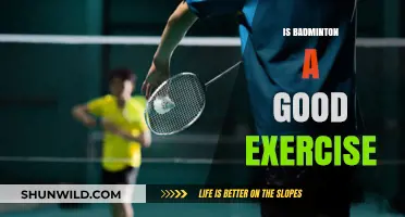 Badminton: An Excellent Workout for Mind and Body
