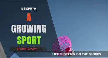 Badminton's Rise: A Sport on the Up?
