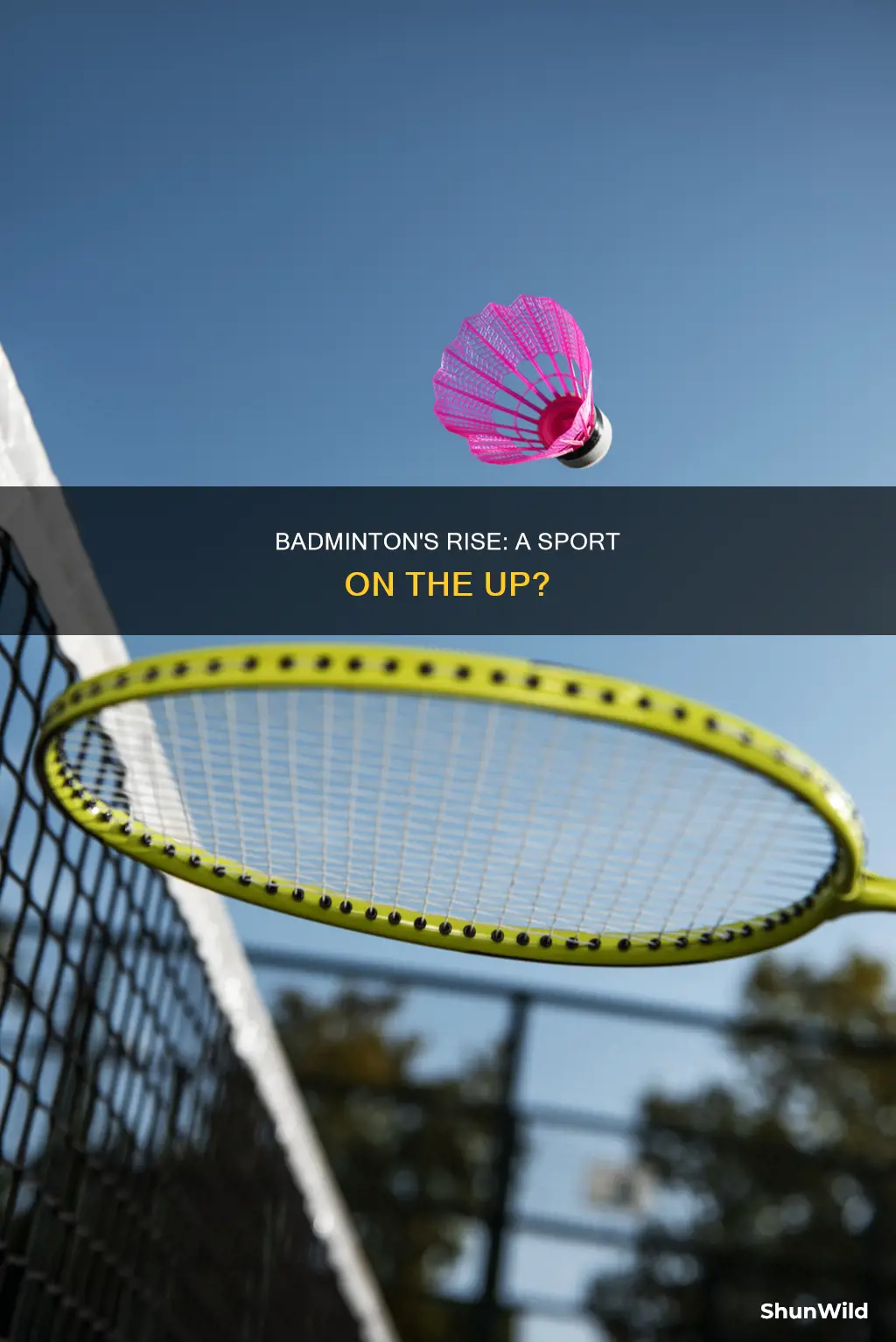 is badminton a growing sport