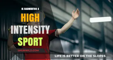 Badminton: High-Intensity Sport or Not?