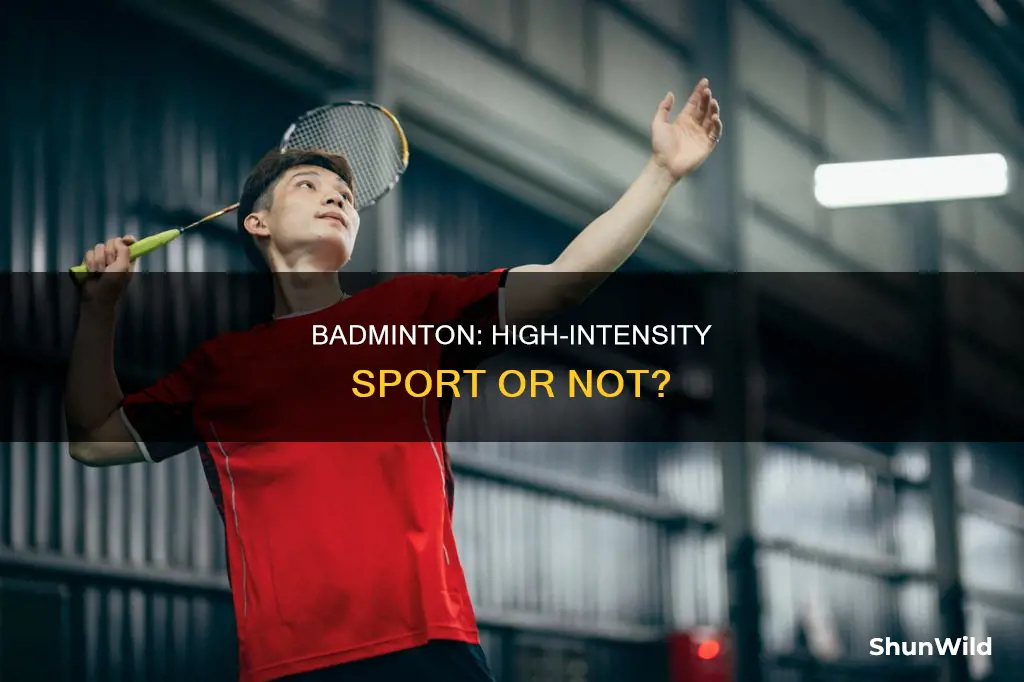 is badminton a high intensity sport