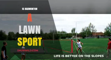 Badminton's Place: Lawn Sport or Not?