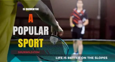 Badminton's Popularity: A Sport's Rise