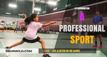 Badminton: A Professional Sport?