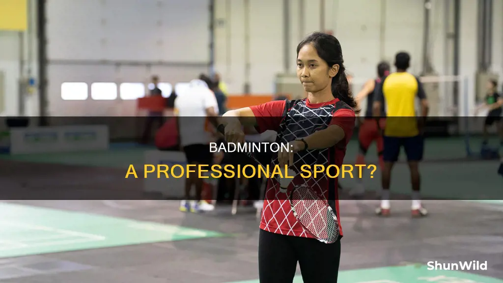is badminton a professional sport