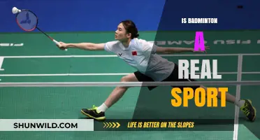 Badminton: Sport or Child's Play?