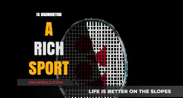 Badminton and Wealth: A Classy Sport?