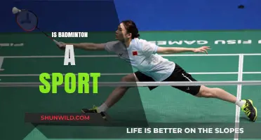 Badminton: Sport or Leisure Activity?