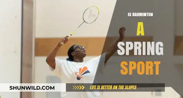 Badminton: A Spring Sport?