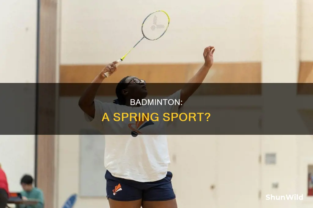 is badminton a spring sport