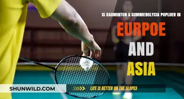 Badminton: Why is it More Popular in Some Regions?