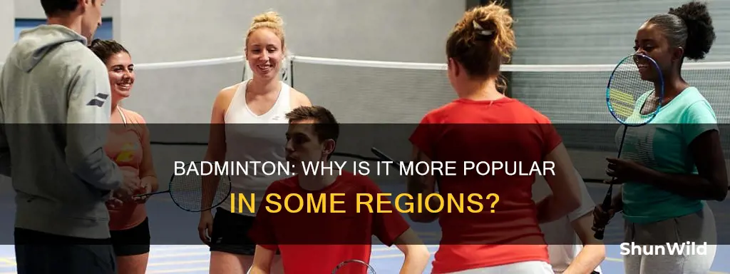 is badminton a summerolycia popluer in eurpoe and asia