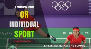 Badminton: Team or Individual Sport?