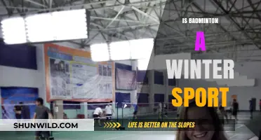 Badminton's Winter Sport Status: Answering the Debate