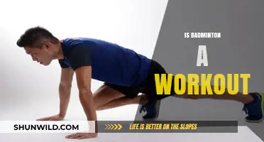 Badminton: Sport or Workout?