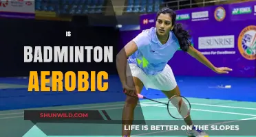 Badminton: An Aerobic Workout in Disguise