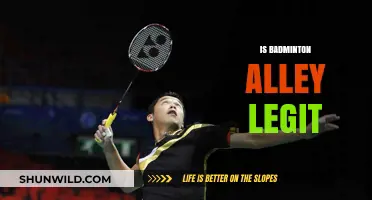 Badminton Alley: Legit or a Scam?