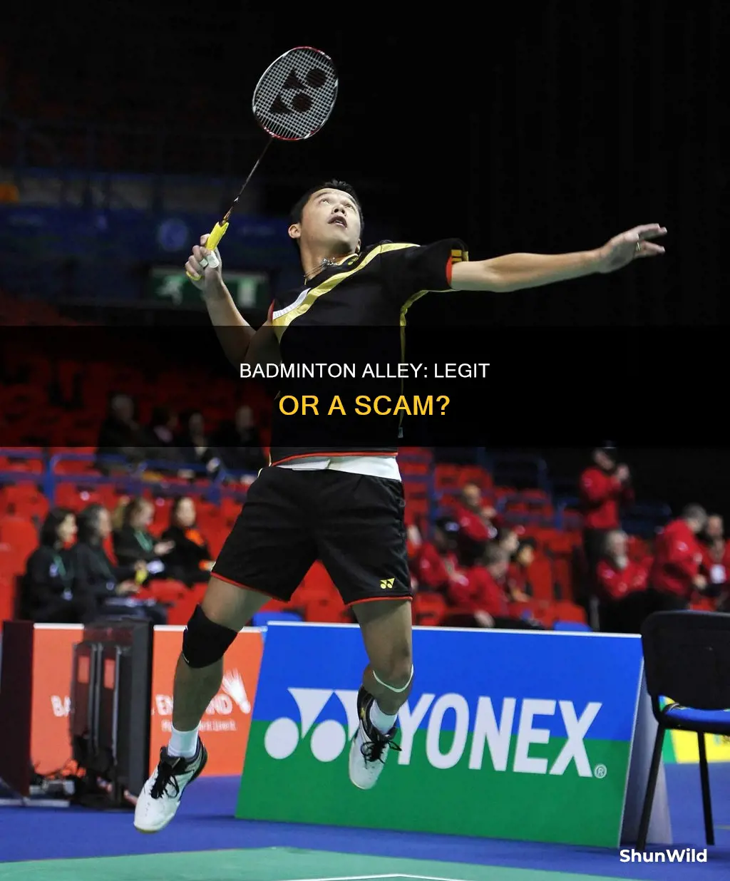 is badminton alley legit
