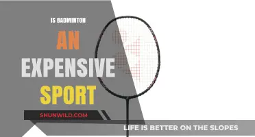 Badminton's Cost: An Expensive Racket?
