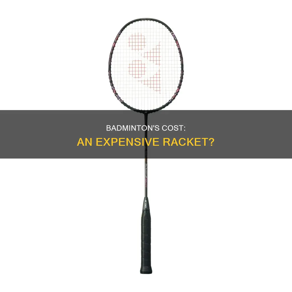 is badminton an expensive sport