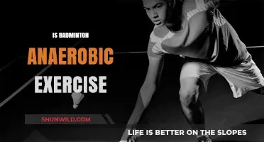 Badminton: Anaerobic Exercise or Not?