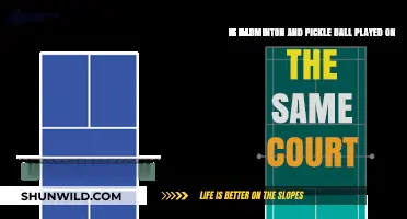 Court Comparison: Badminton vs Pickleball