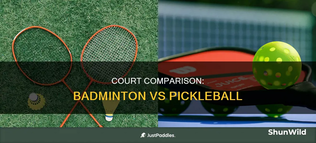 is badminton and pickle ball played on the same court