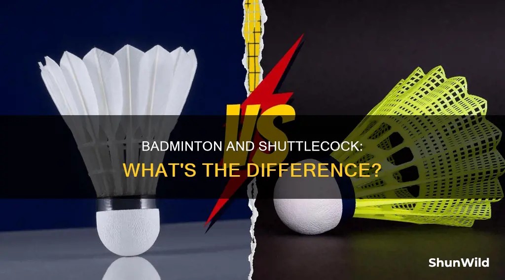 is badminton and shuttle are same