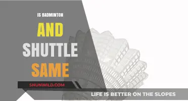 Badminton and Shuttlecock: What's the Difference?