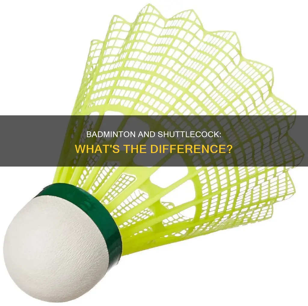 is badminton and shuttle same